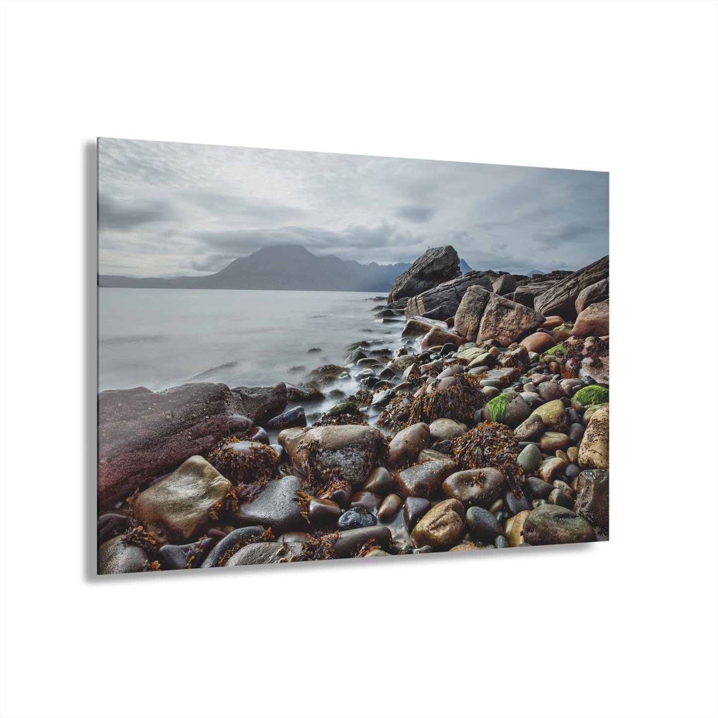 Wall Decor, Wall Art Decor