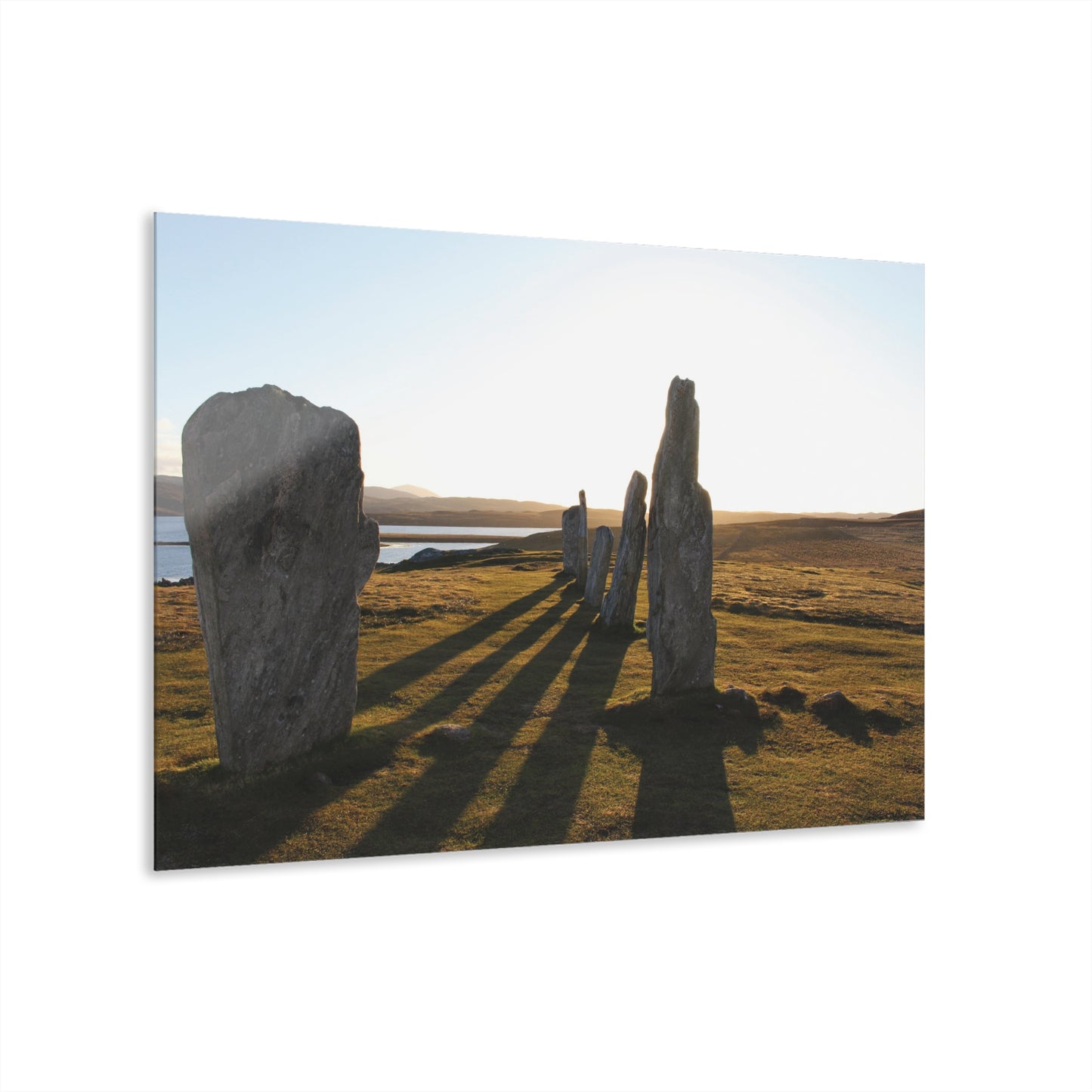 Wall Decor, Wall Art Decor