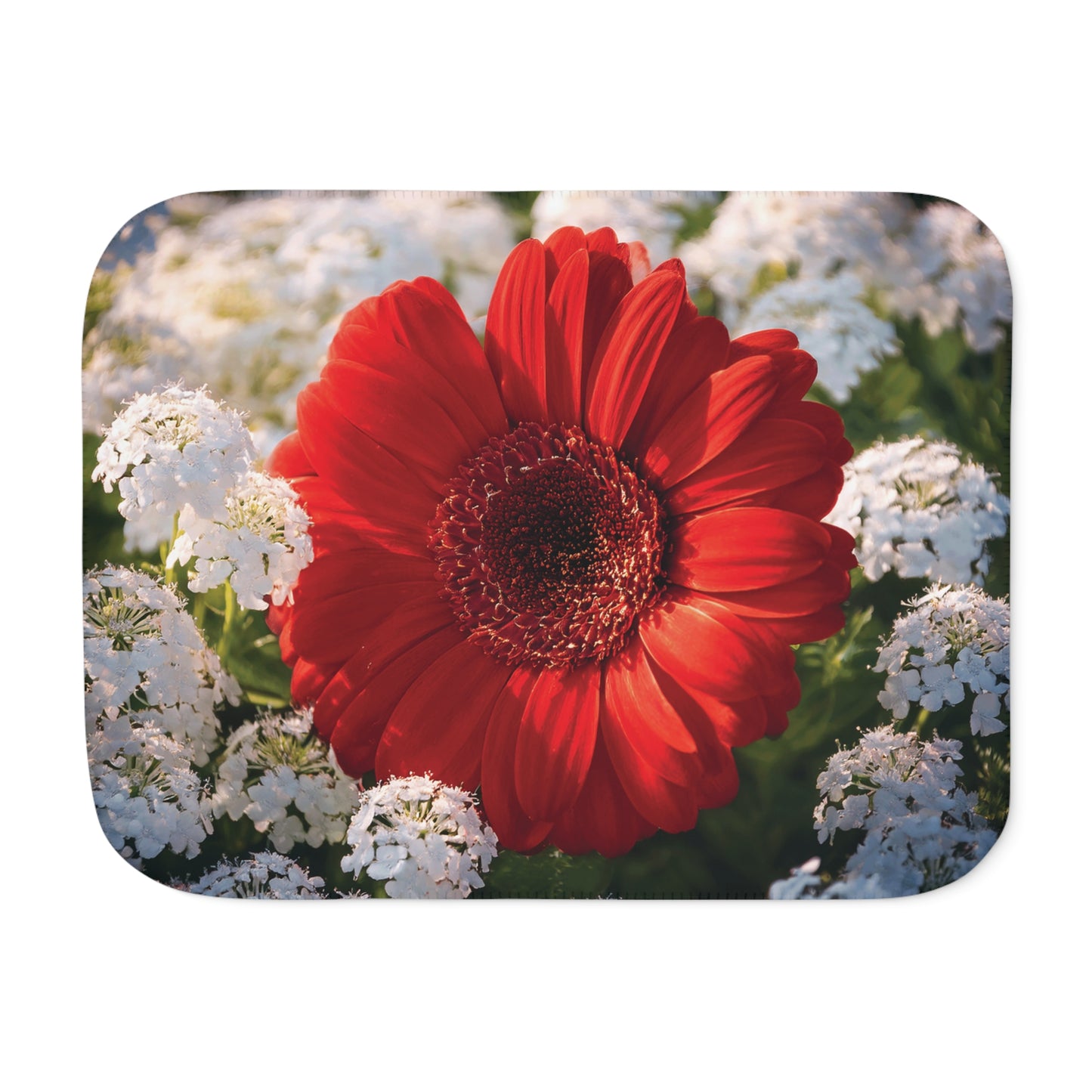 Floral Sherpa Blanket