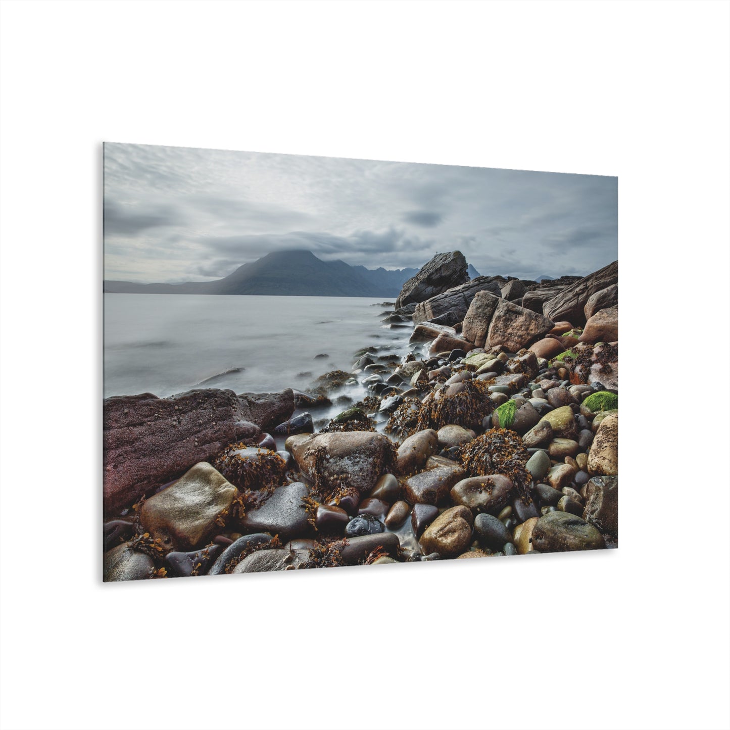 Wall Decor, Wall Art Decor