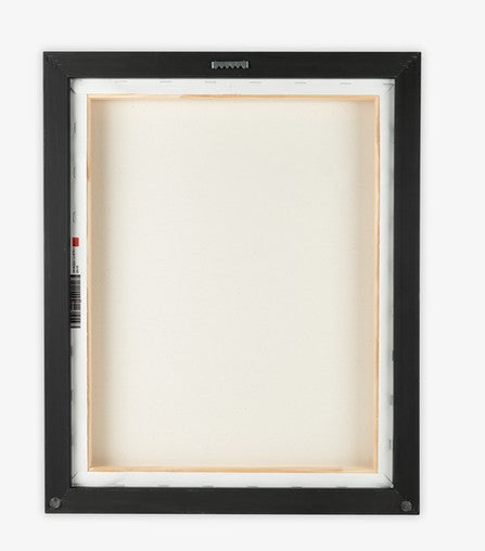 Big Canvas Art, Canvas Print Framed