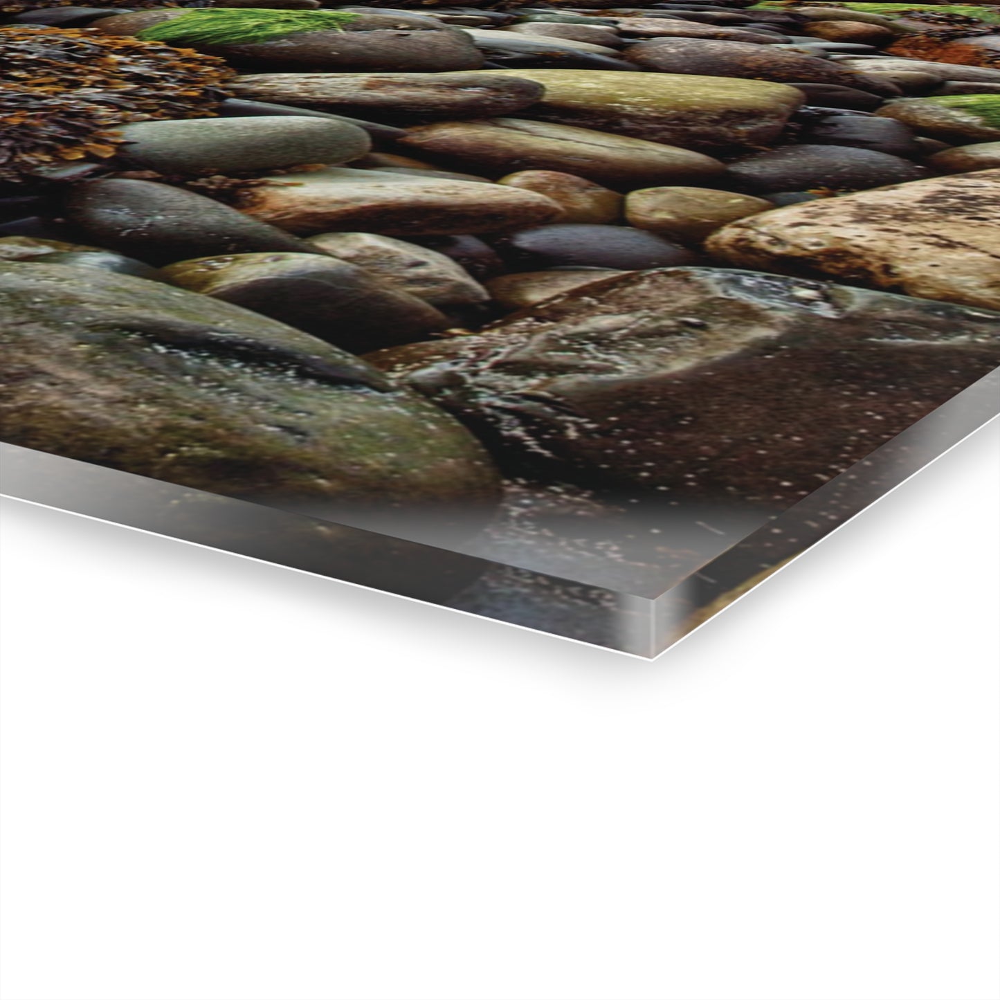 Wall Decor, Wall Art Decor