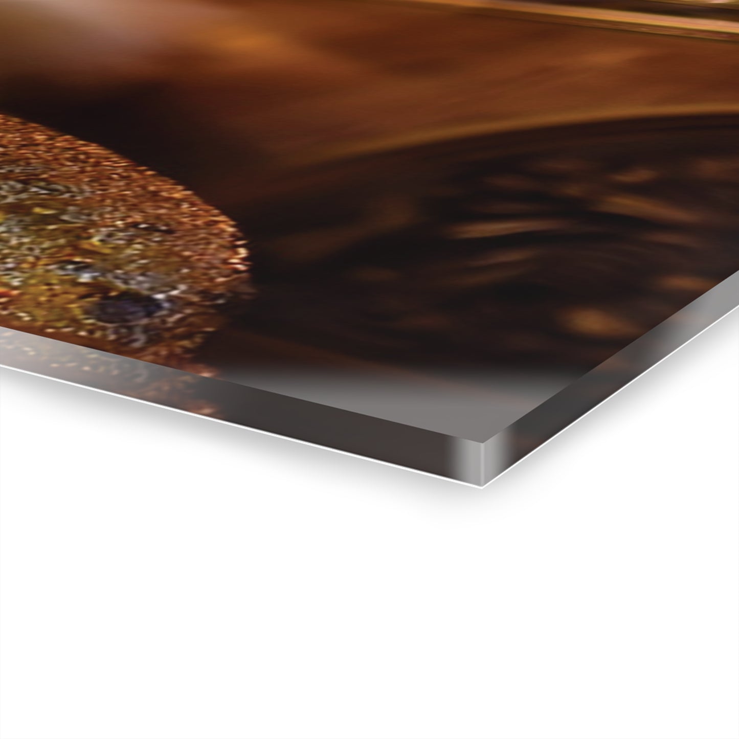 Crown Cat Wall Decor, Wall Art Decor with Animals 3