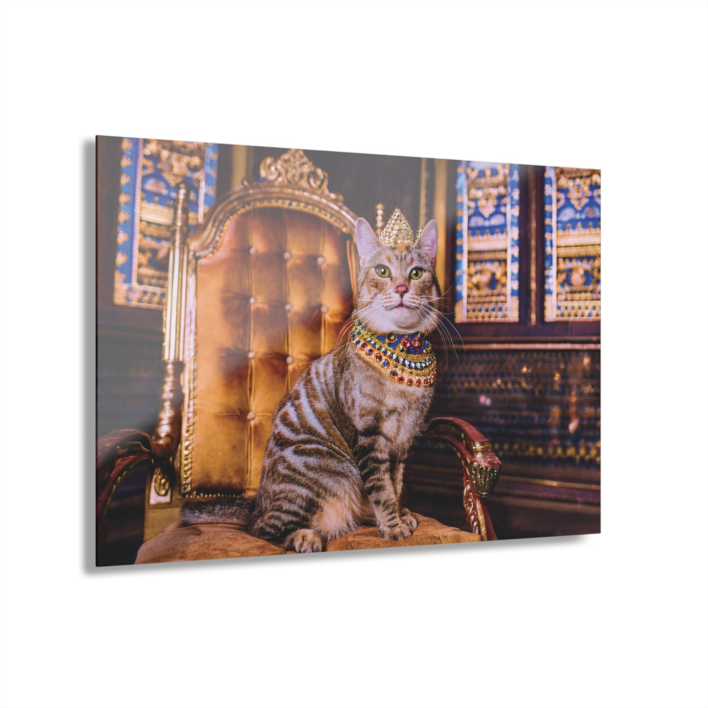 Crown Cat Wall Decor, Wall Art Decor with Animals 6