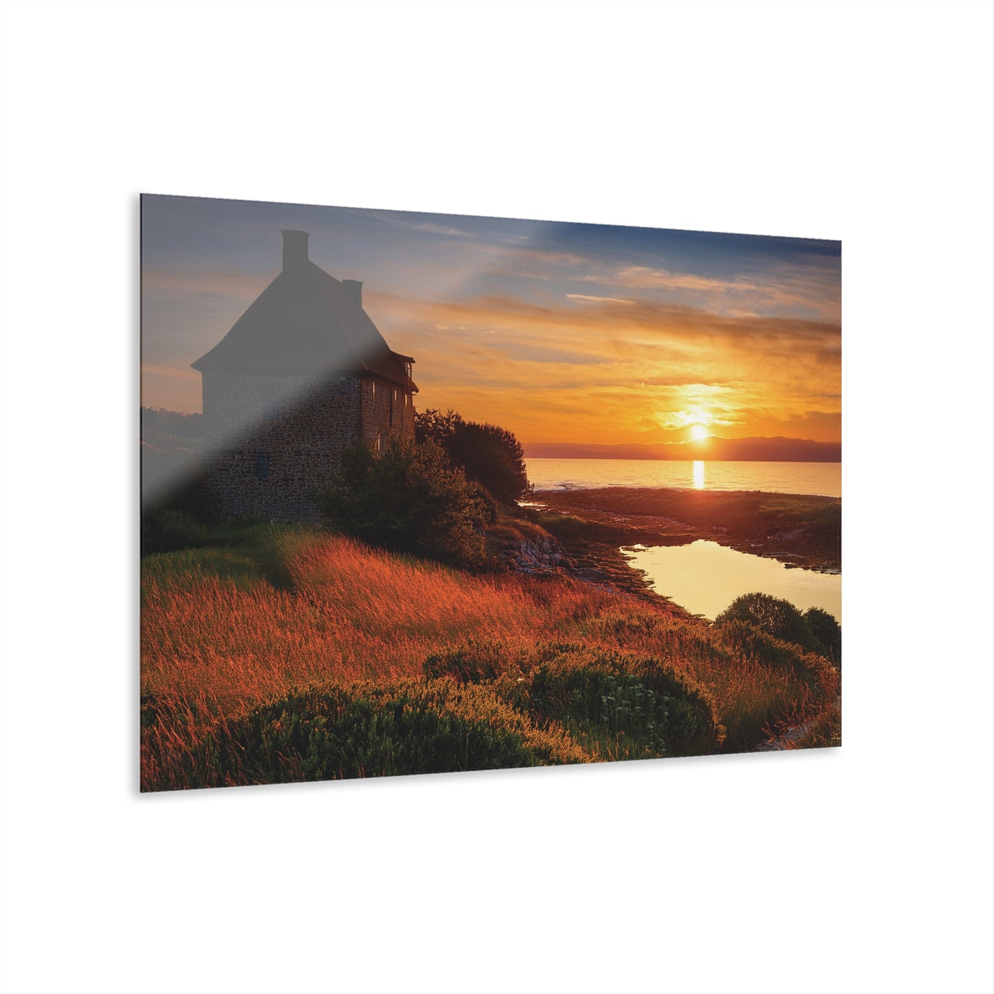 Wall Decor, Wall Art Decor