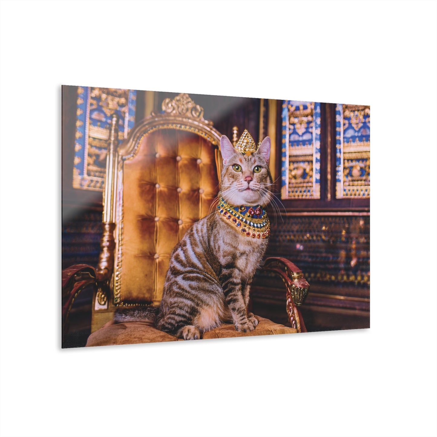 Crown Cat Wall Decor, Wall Art Decor with Animals 6