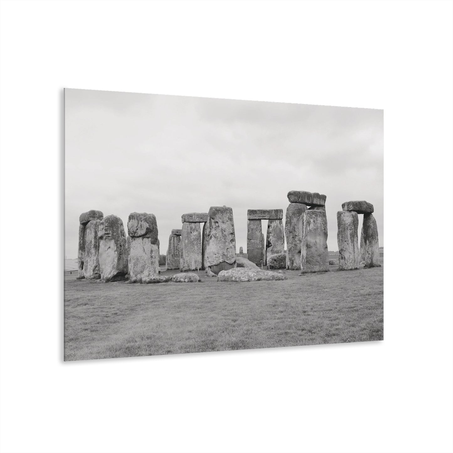 Wall Decor, Wall Art Decor